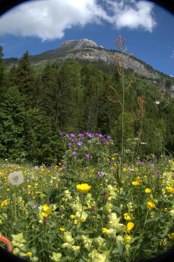 Charmieux Appartement En Chalet Typique Le Grand-Bornand Zewnętrze zdjęcie