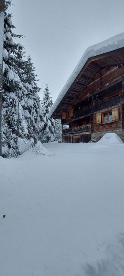 Charmieux Appartement En Chalet Typique Le Grand-Bornand Zewnętrze zdjęcie