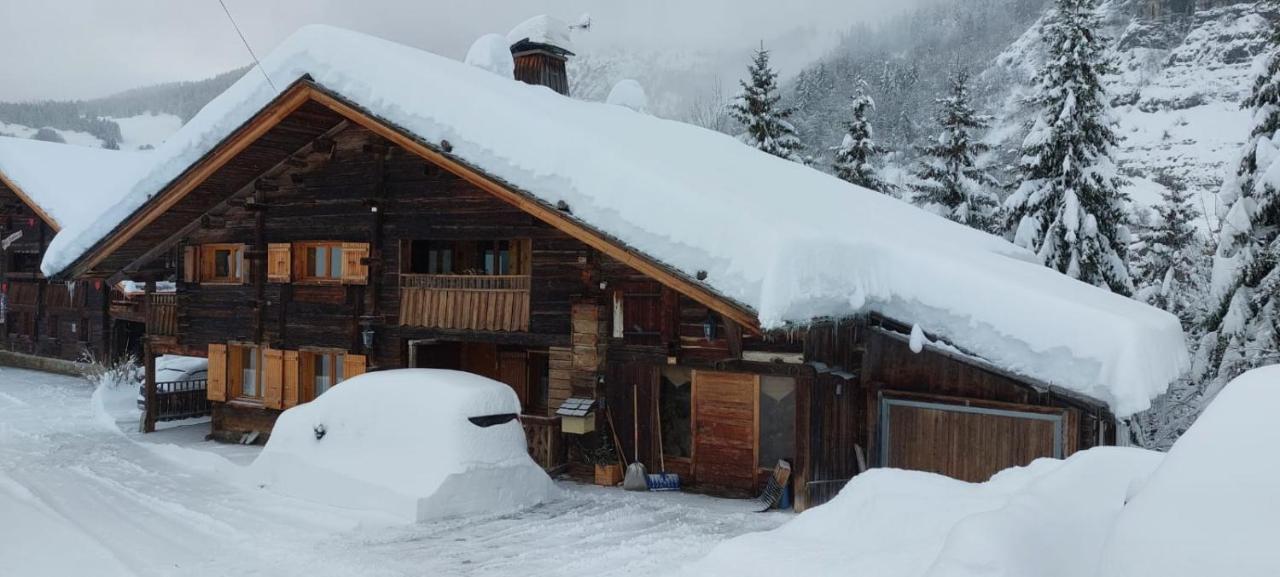 Charmieux Appartement En Chalet Typique Le Grand-Bornand Zewnętrze zdjęcie